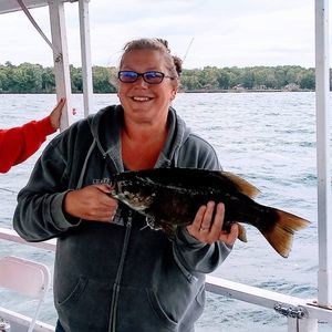 Meet your Posher, Jaime